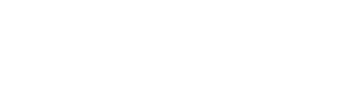 Tenderdiamondjapan Logo White